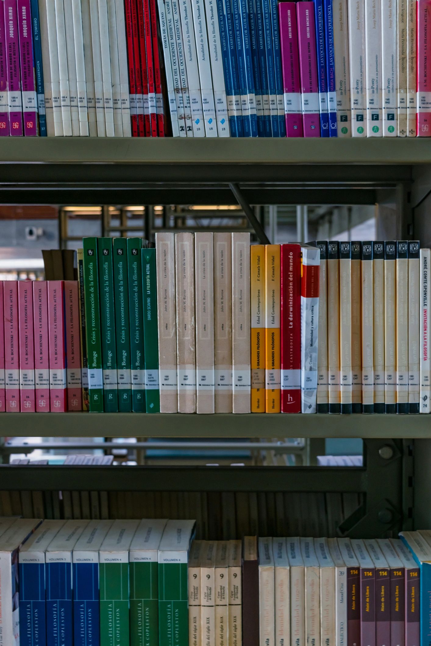 Books on shelves in a library